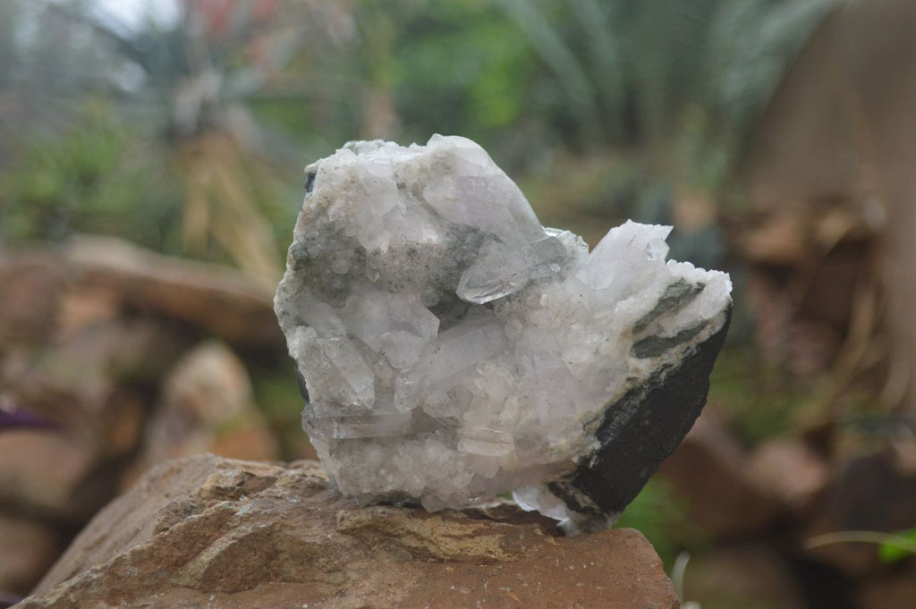 Natural Mixed Selection Of Minerals & Crystals x 6 From Southern Africa - Toprock Gemstones and Minerals 