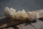 Natural Small Mixed Quartz Clusters  x 70 From Zambia - Toprock Gemstones and Minerals 