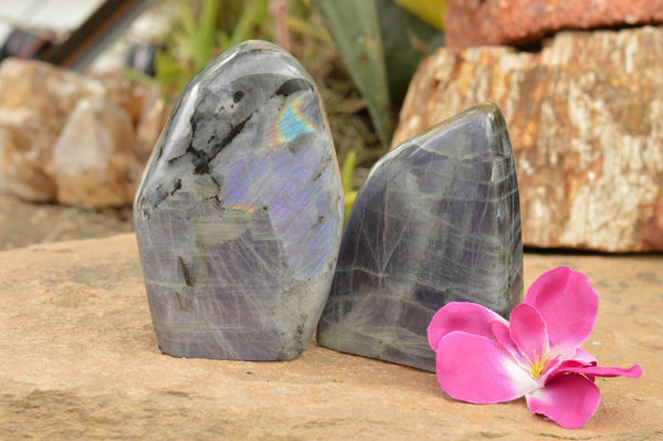 Polished Rare Purple Flash Labradorite Standing Free Forms  x 2 From Tulear, Madagascar - TopRock