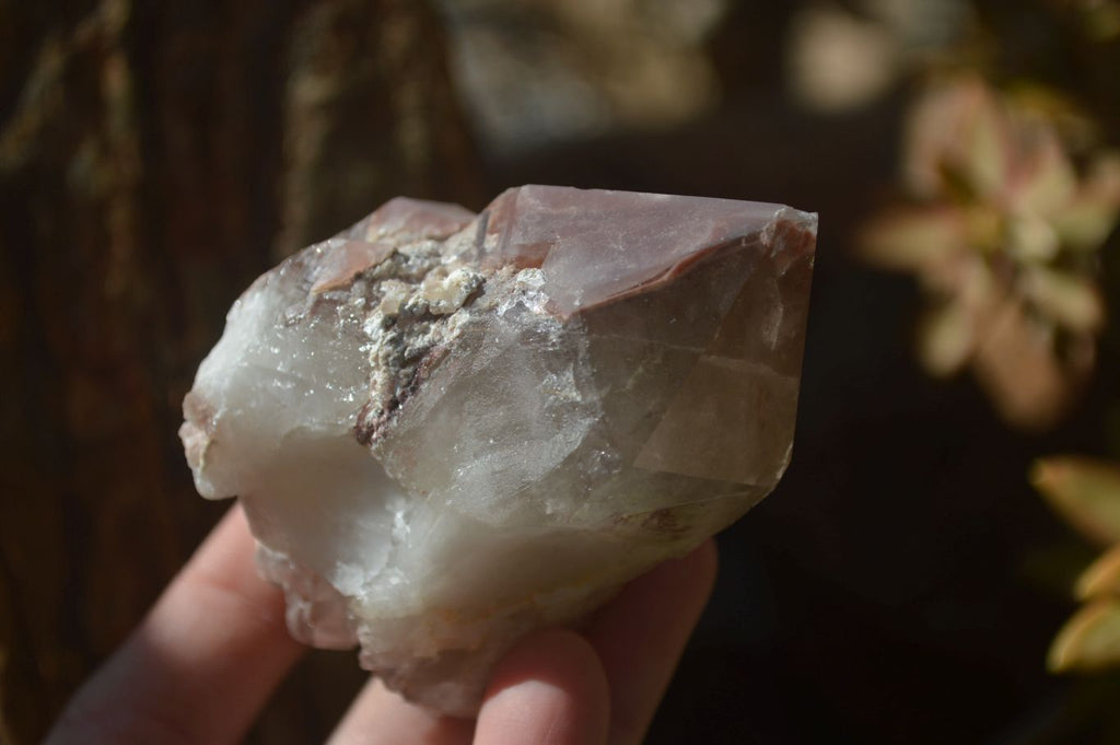 Natural Red Hematoid Quartz Specimens x 6 From Karoi, Zimbabwe - Toprock Gemstones and Minerals 