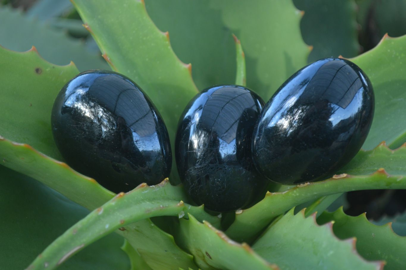 Polished Schorl Black Tourmaline Palm Stones  x 14 From Madagascar - Toprock Gemstones and Minerals 