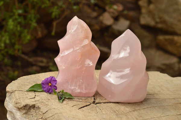 Polished Gemmy Pink Rose Quartz Flames  x 2 From Madagascar - TopRock