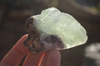 Natural Rough Watermelon Fluorite Cobbed Specimens  x 24 From Uis, Namibia