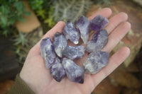 Polished Small Single Amethyst Crystals  x 70 From Zambia - Toprock Gemstones and Minerals 