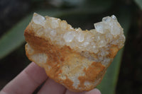 Natural Limonite Tinted Quartz Crystal Plates  x 35 From Zambia - Toprock Gemstones and Minerals 