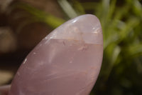 Polished Pink Rose Quartz Standing Free Forms x 2 From Ambatondrazaka, Madagascar - TopRock