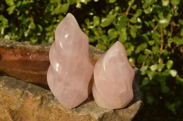 Polished Gemmy Pink Rose Quartz Flames  x 3 From Madagascar - TopRock