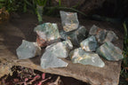 Natural Rough Green Jade Cobbed Specimens x 12 From Swaziland - Toprock Gemstones and Minerals 