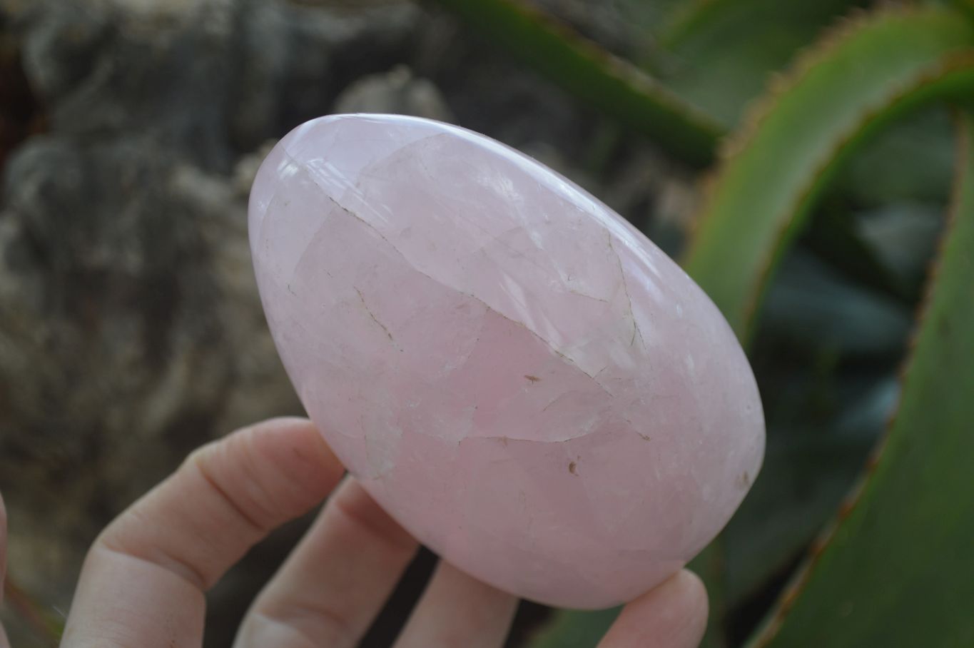 Polished Pink Rose Quartz Standing Free Forms x 4 From Antsirabe, Madagascar - Toprock Gemstones and Minerals 