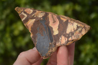 Natural Cobbed Nguni Jasper Pieces  x 12 From Southern Africa - Toprock Gemstones and Minerals 