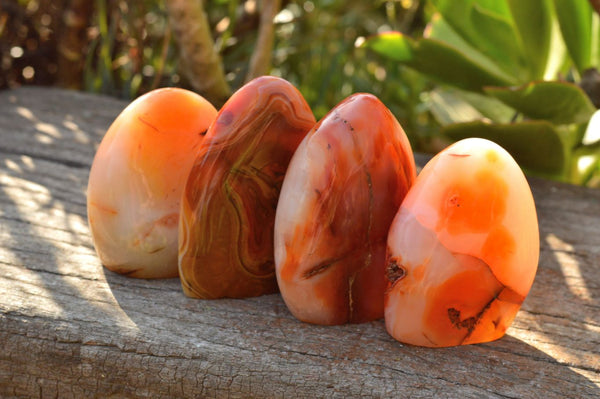 Polished Gorgeous Selection Of Carnelian Agate Standing Free Forms  x 6 From Madagascar - TopRock