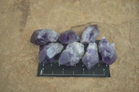 Polished Small Single Amethyst Crystals  x 70 From Zambia - Toprock Gemstones and Minerals 