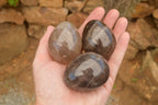 Polished Morion Smokey Quartz Eggs x 6 From Madagascar - TopRock