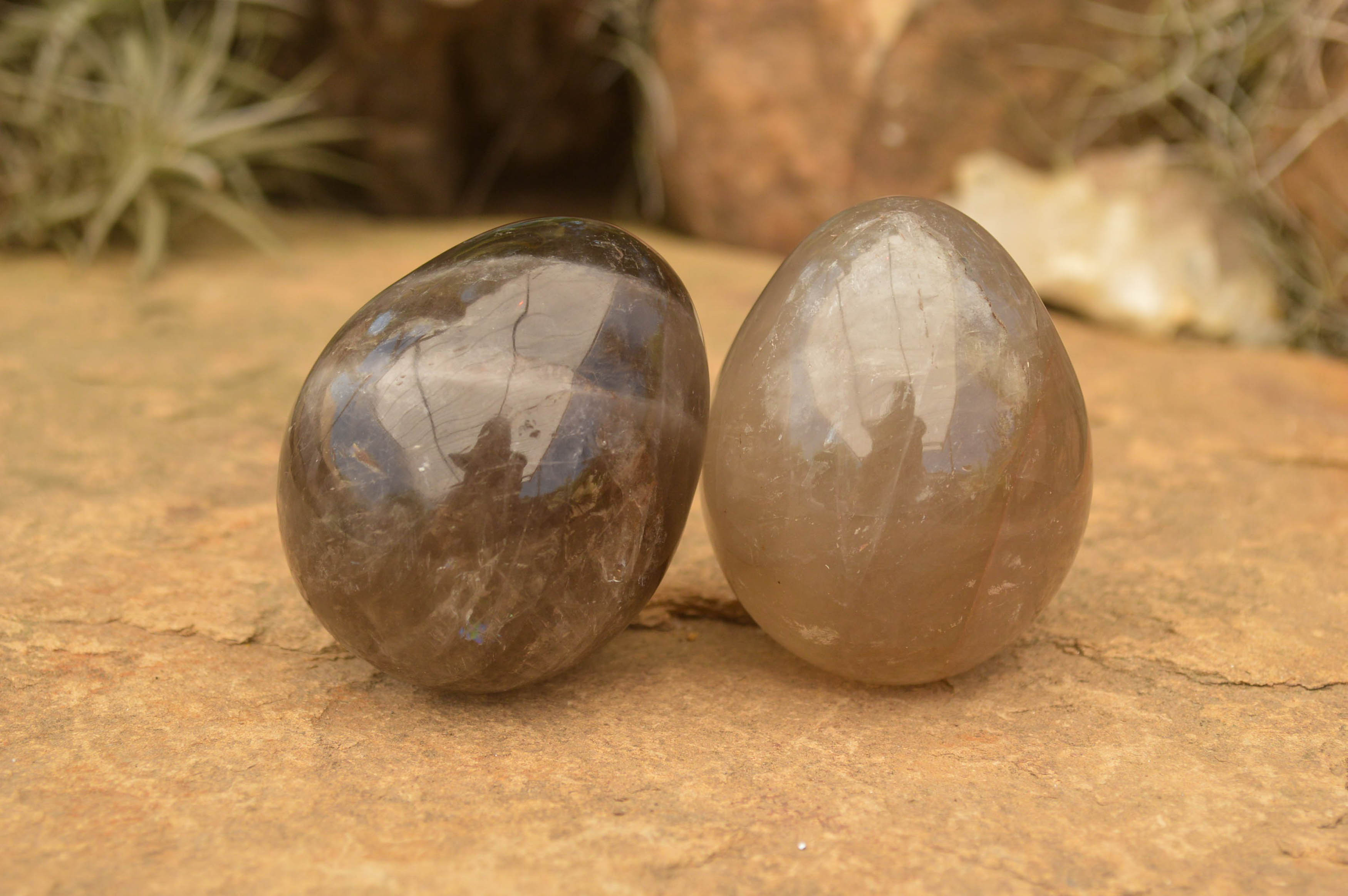 Polished Morion Smokey Quartz Eggs x 6 From Madagascar - TopRock