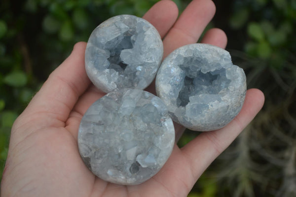 Polished Crystal Centred Celestite Spheres  x 6 From Madagascar