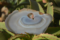 Polished Highly Selected Agate Slices  x 4 From Madagascar