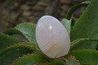 Polished Pink Rose Quartz Standing Free Forms x 4 From Antsirabe, Madagascar - Toprock Gemstones and Minerals 