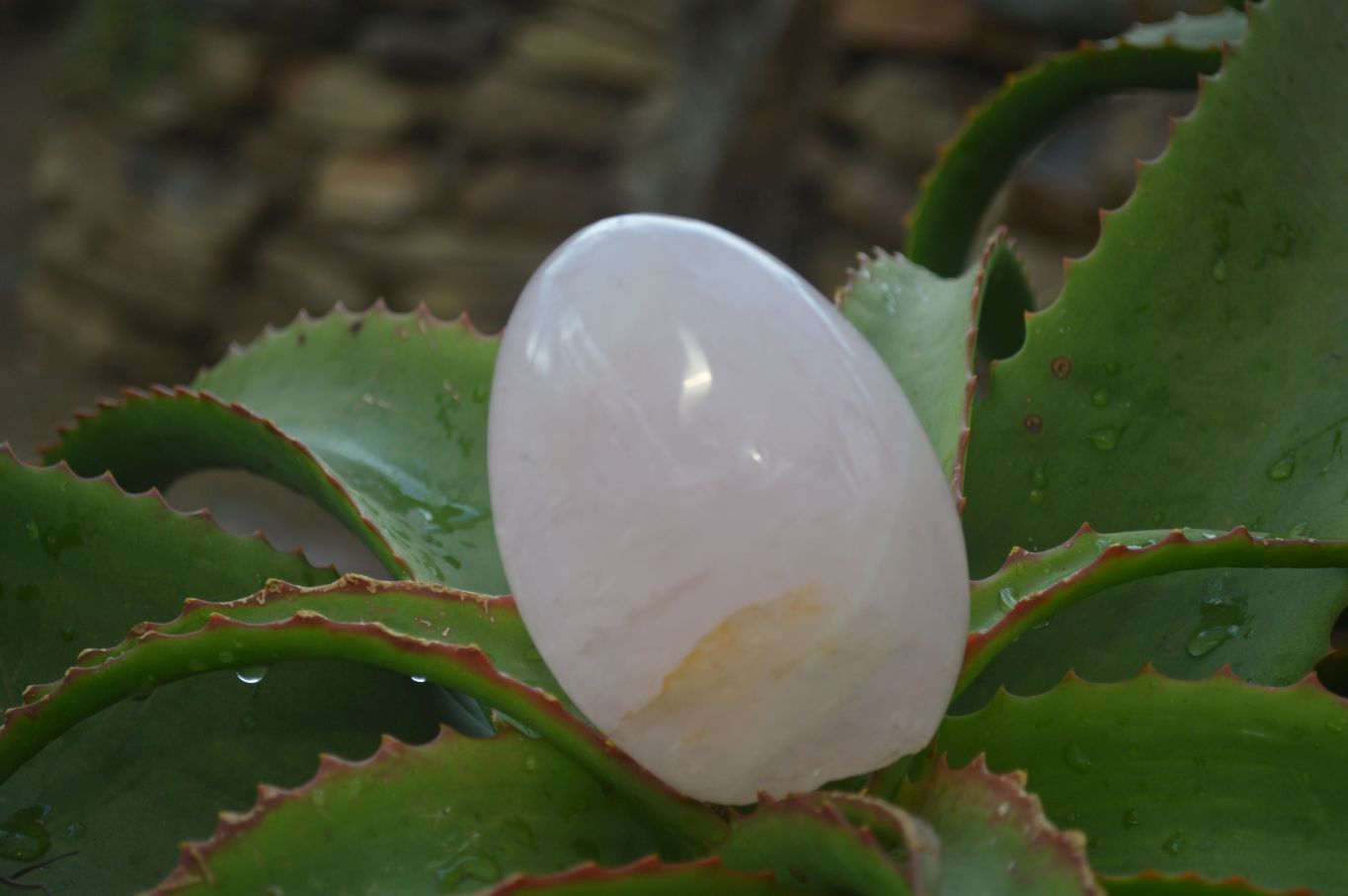 Polished Pink Rose Quartz Standing Free Forms x 4 From Antsirabe, Madagascar - Toprock Gemstones and Minerals 
