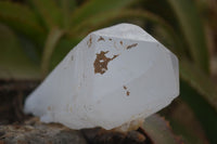 Natural Icey Etched Self Healed Quartz Crystals  x 3 From Madagascar - Toprock Gemstones and Minerals 