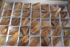 Natural Honey Aragonite Etched & Cobbed Pieces  x 35 From Namibia - Toprock Gemstones and Minerals 