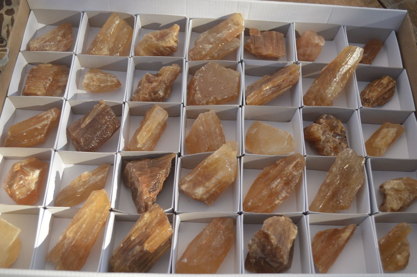 Natural Honey Aragonite Etched & Cobbed Pieces  x 35 From Namibia - Toprock Gemstones and Minerals 