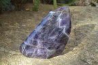 Polished Chevron Amethyst Point x 1 From Zambia - Toprock Gemstones and Minerals 
