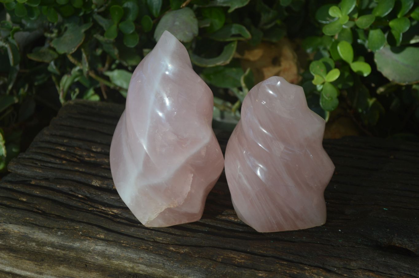 Polished Pink Rose Quartz Flame Sculptures x 2 From Madagascar - Toprock Gemstones and Minerals 