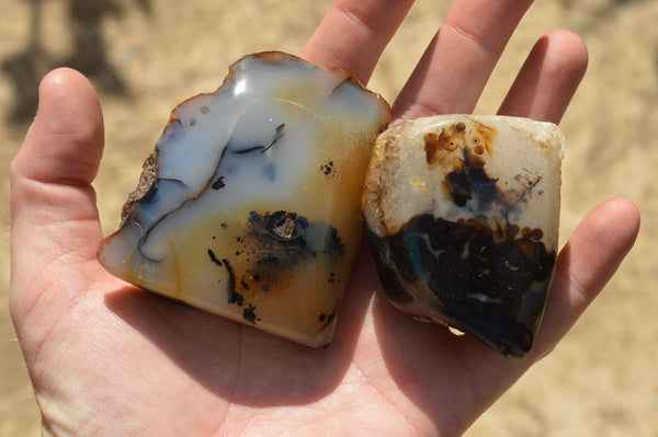 Polished One Side Polished Dendritic Agate Standing Free Forms  x 6 From Madagascar - TopRock