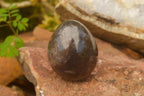 Polished Morion Smokey Quartz Eggs x 6 From Madagascar - TopRock