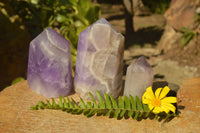 Polished Amethyst Crystals With Stunning Patterns  x 3 From Madagascar - TopRock
