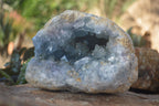 Natural Blue Celestite Geode Specimen  x 1 From Sakoany, Madagascar - Toprock Gemstones and Minerals 