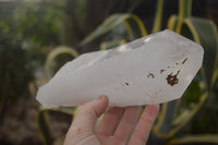 Natural Icey Etched Self Healed Quartz Crystals  x 3 From Madagascar - Toprock Gemstones and Minerals 