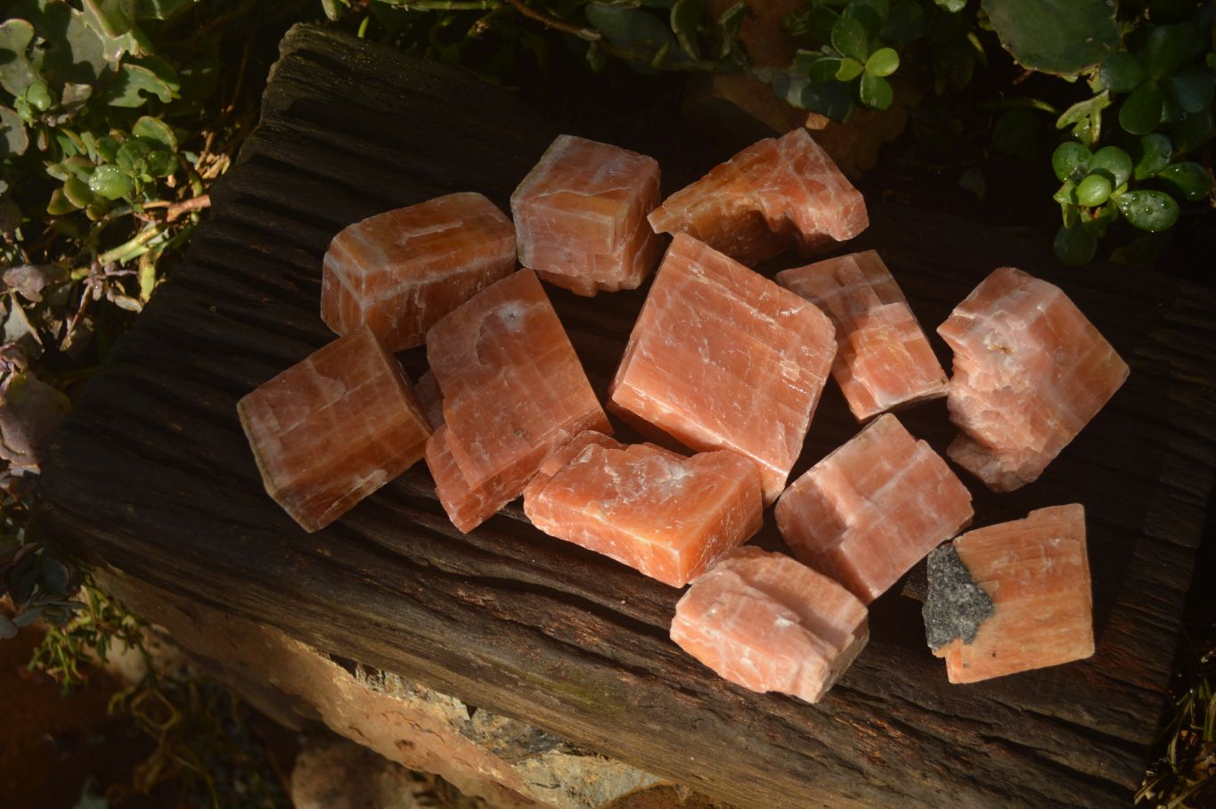 Natural New Sunset Orange Calcite Specimens  x 12 From Spitzkop, Namibia - Toprock Gemstones and Minerals 