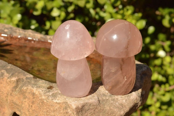 Polished Gemmy Pink Rose Quartz Mushrooms With Asterisms On Some x 7 From Madagascar - TopRock