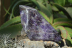 Polished Chevron Amethyst Point x 1 From Zambia - Toprock Gemstones and Minerals 