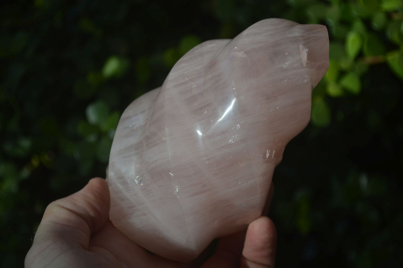 Polished Pink Rose Quartz Flame Sculptures x 2 From Madagascar - Toprock Gemstones and Minerals 