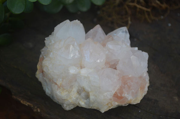 Natural White Spirit Cactus Quartz Clusters  x 2 From Boekenhouthoek, South Africa