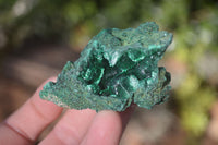 Natural Chatoyant Silky Malachite Specimens  x 12 From Kasompe, Congo - Toprock Gemstones and Minerals 