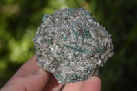 Natural Rare Emerald Mica In Matrix Cobbed Specimens x 12 From Mutoko, Zimbabwe - Toprock Gemstones and Minerals 