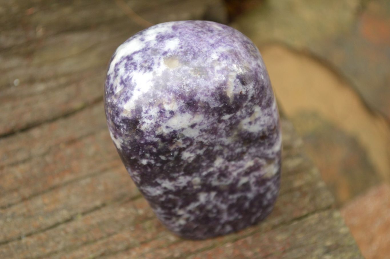Polished Purple Lepidolite with Specular White Patterns Free Forms x 3 From Zimbabwe - TopRock