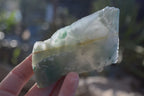 Natural Rough Green Jade Cobbed Specimens x 12 From Swaziland - Toprock Gemstones and Minerals 