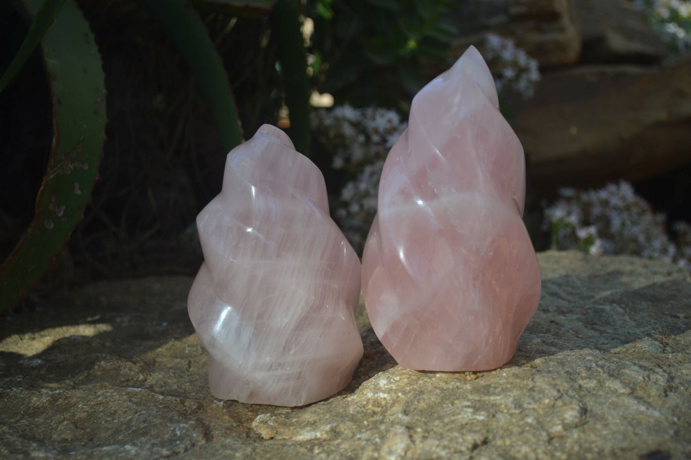 Polished Pink Rose Quartz Flame Sculptures x 2 From Madagascar - Toprock Gemstones and Minerals 