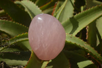 Polished Pink Rose Quartz Standing Free Forms x 2 From Ambatondrazaka, Madagascar - TopRock