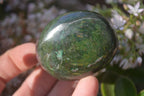 Polished Green Verdite Galet / Palm Stones x 12 From Zimbabwe - Toprock Gemstones and Minerals 