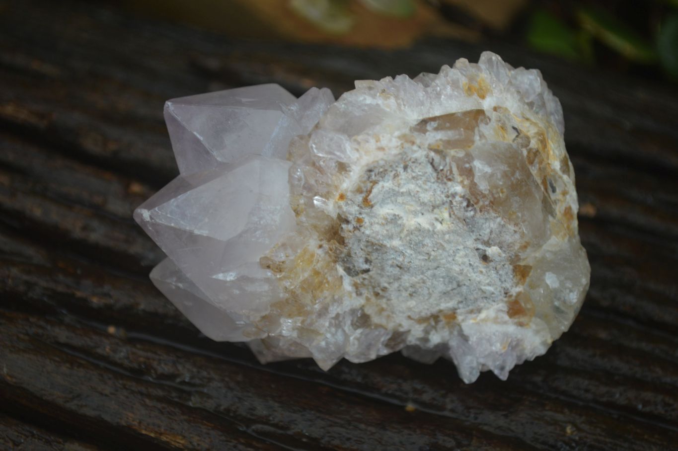 Natural Spirit Amethyst Quartz Clusters  x 6 From Boekenhouthoek, South Africa - Toprock Gemstones and Minerals 
