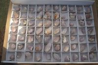 Natural Small Spirit Amethyst Quartz Crystals  x 70 From Boekenhouthoek, South Africa - Toprock Gemstones and Minerals 