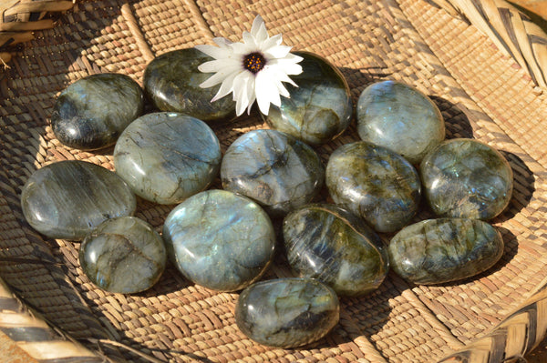 Polished Flashy Labradorite Palm Stones  x 20 From Tulear, Madagascar - TopRock
