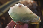 Natural Rough Green Jade Cobbed Specimens x 12 From Swaziland - Toprock Gemstones and Minerals 