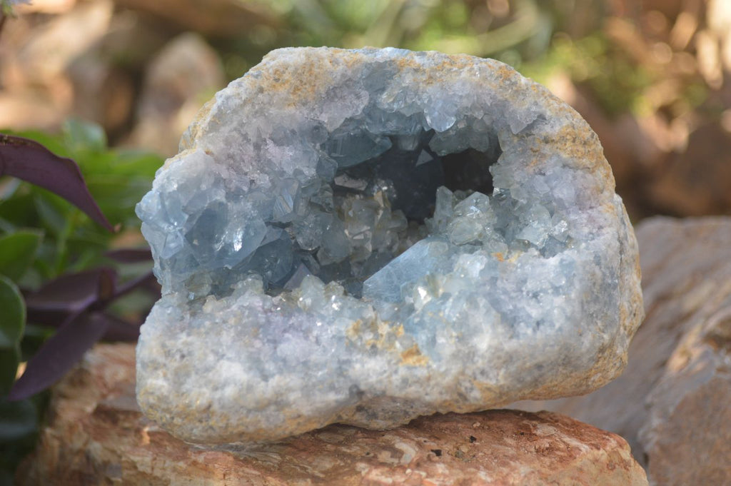 Natural Blue Celestite Geode Specimen  x 1 From Sakoany, Madagascar - Toprock Gemstones and Minerals 