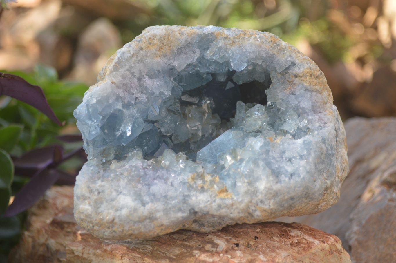 Natural Blue Celestite Geode Specimen  x 1 From Sakoany, Madagascar - Toprock Gemstones and Minerals 